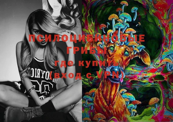 соль ск Алексин