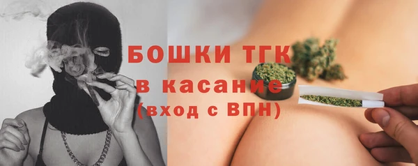 соль ск Алексин
