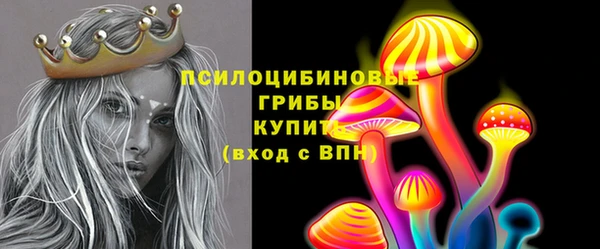 соль ск Алексин