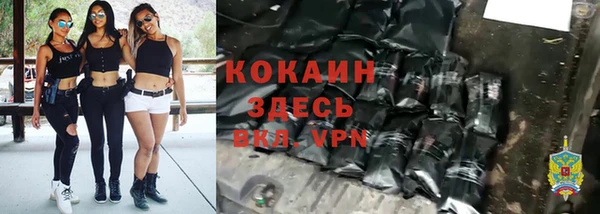 соль ск Алексин