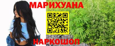тгк Новозыбков