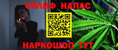 тгк Новозыбков