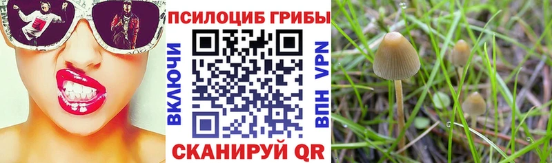 Псилоцибиновые грибы GOLDEN TEACHER  Феодосия 
