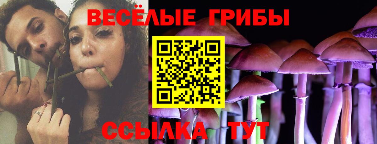 Галлюциногенные грибы Psilocybine cubensis  Вход с VPN  Феодосия 